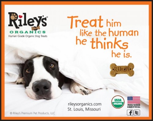 Riley's Organic Dog Treats