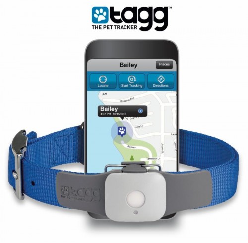 GPS and Activity Pet Tracker