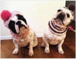 Benny and Lily
