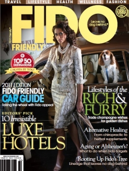 Issue 47