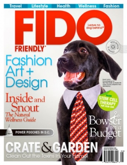 Issue 38