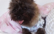 Fiona