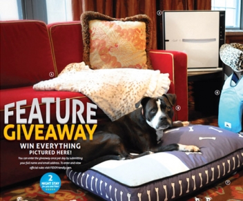 Feature Giveaway