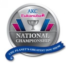 AKC/Eukanuba National Championship Dog Show To Air On ABC February 4th