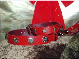 Alpen Schatz collars for dogs: product review