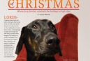 The 12 Stays of Christmas