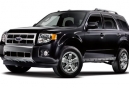 Buying a Car With Fido in Mind