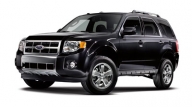 Buying a Car With Fido in Mind