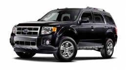 Buying a Car With Fido in Mind