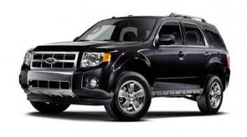 Buying a Car With Fido in Mind