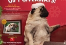 25 Days of Gift Giving