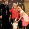 Hero Dogs