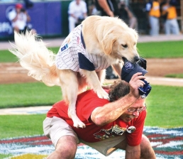 Fido Hits a Home Run