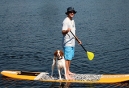 The Dog Days of Destin and the Emerald Coast