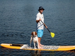 The Dog Days of Destin and the Emerald Coast