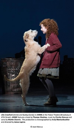 ANNIE
