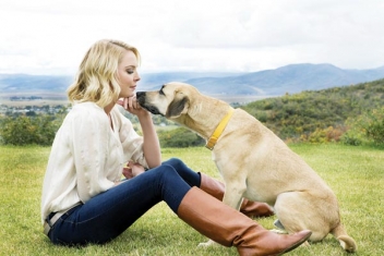 Katherine Heigl