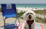 Florida Panhandle