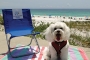Florida Panhandle