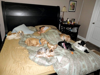 Sleeping With the Pack