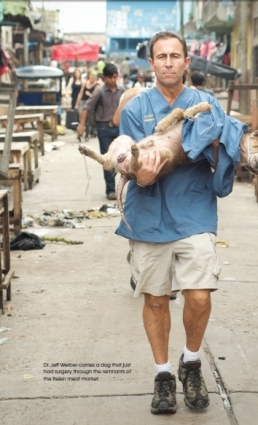 Fixing Fido