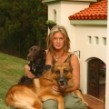 What Makes a Doghouse a Home?