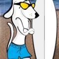 Top 10 FIDO Friendly Beaches