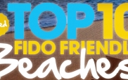 Top 10 FIDO Friendly Beaches