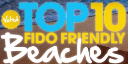 Top 10 FIDO Friendly Beaches
