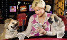 Holly Madison & Napoleon