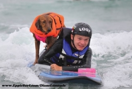 Surf’s Up-Bow-Wow