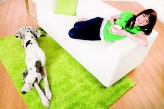 Large Dogs