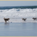 The Vagabond’s House Boutique Inn & Spa Studio - Carmel, CA