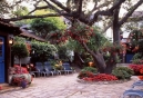 The Vagabond’s House Boutique Inn & Spa Studio - Carmel, CA