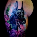 Fido Furever
