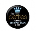 DogTime Petties Best Overall Pet Blog