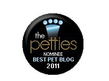 DogTime Petties Best Overall Pet Blog