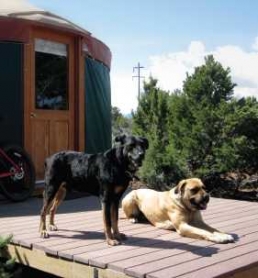 Yurts