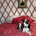 Yurts