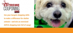 On Your Mark, Get Set, Coupon for Shelter Animals!
