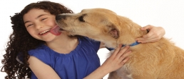 Pedigree® Food For Dogs and Annie® The Musical Partner to Raise $1 Million For Shelter Dogs