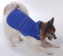 Keep FIDO Warm AND Stylish this Fall !