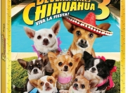 CLOSED - Enter our FIESTA FIDO Picture Contest!