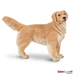 CLOSED - Enter to Win The Best in Show Golden Retriever AND Golden Retriever Puppy!