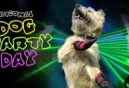 3rd Annual National Dog Party Day June 21 - San Diego, Orlando, Austin, and Dewey Beach