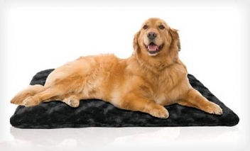 Premium Orthopedic Pet Mat