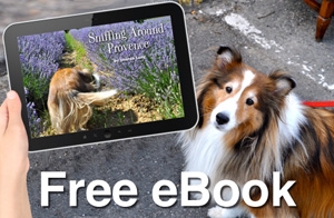 Senior Sheltie Sets Paws in France