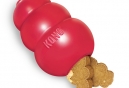 Take Your Dog And KONG To Work In June
