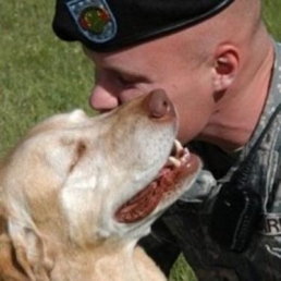 HALLMARK CHANNEL &&nbsp; AMERICAN HUMANE ASSOC ANNOUNCE 2012 “HERO DOG AWARDS” FINALISTS