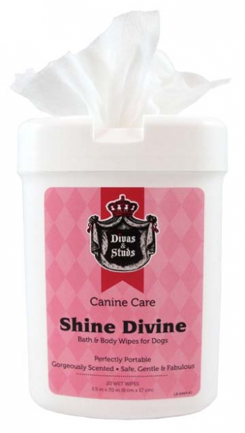 Calling All Diva & Studs - Pampering Starts Here